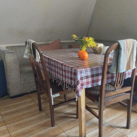 Everyday Cat Hostel Батуми Екстериор снимка