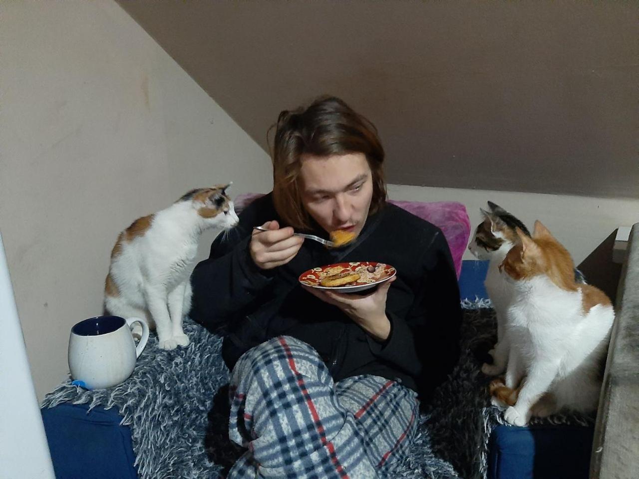 Everyday Cat Hostel Батуми Екстериор снимка