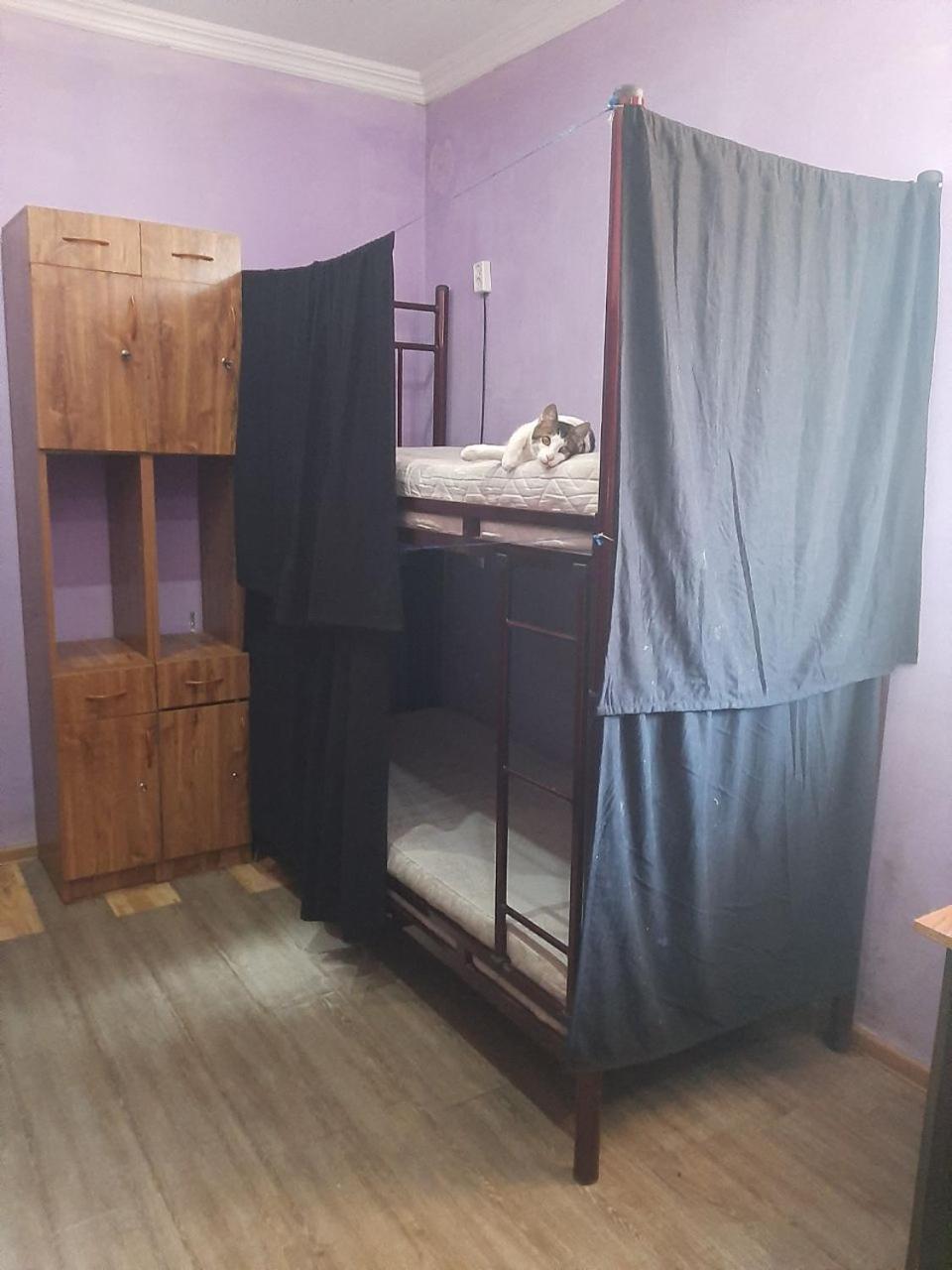 Everyday Cat Hostel Батуми Екстериор снимка