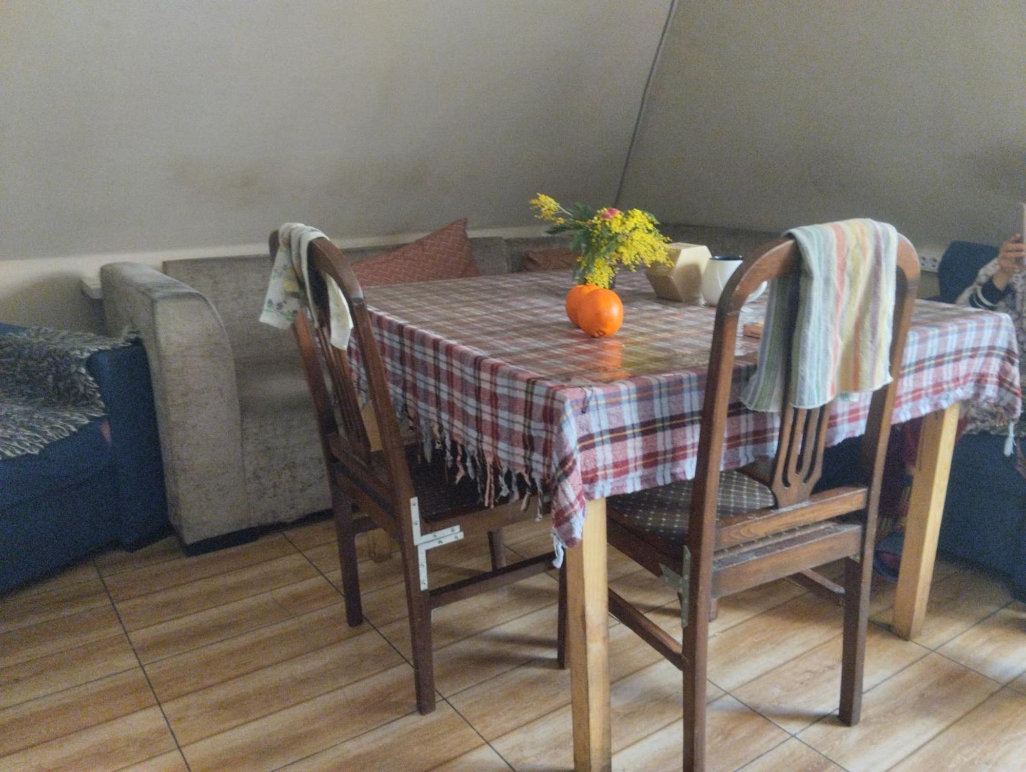 Everyday Cat Hostel Батуми Екстериор снимка